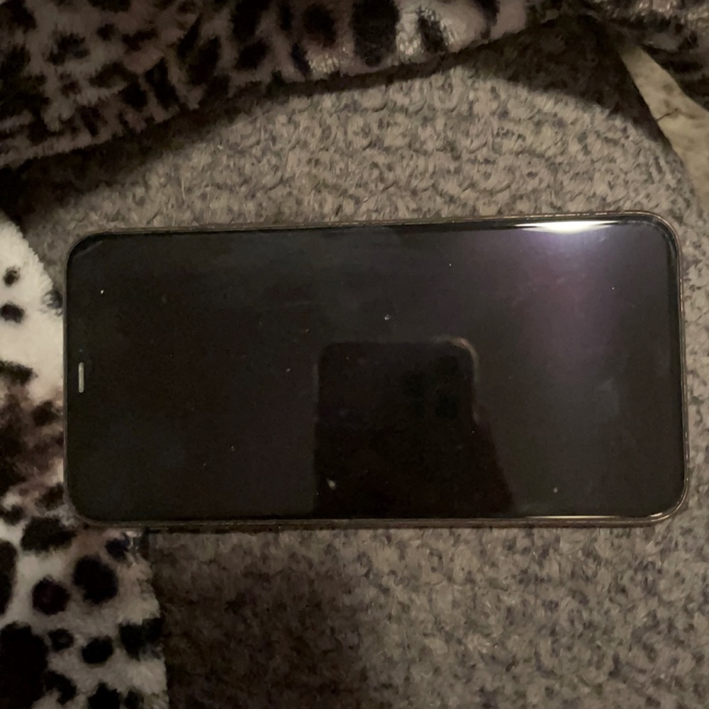 iPhone 11 ProMax 256GB perfect condition